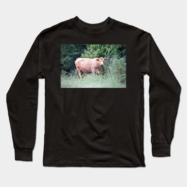 Brown Cow Nibbling On Wildflowers Long Sleeve T-Shirt by Cynthia48